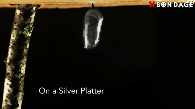 BondageLiberation - On A Silver Platter