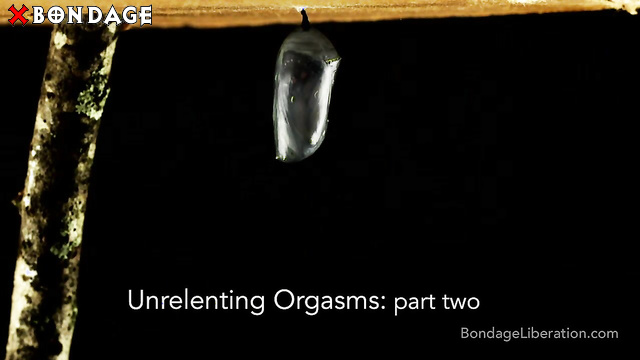 BondageLiberation - Unrelenting Orgasms Part Two