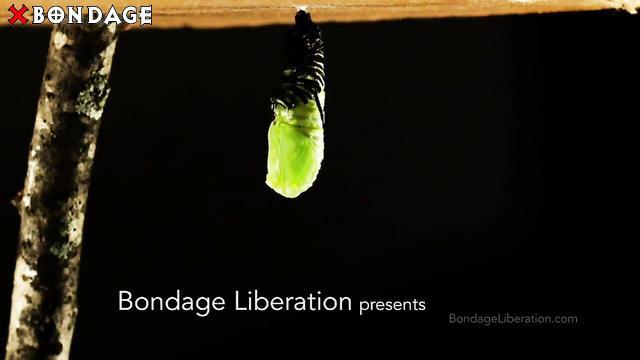 BondageLiberation - Hang In There
