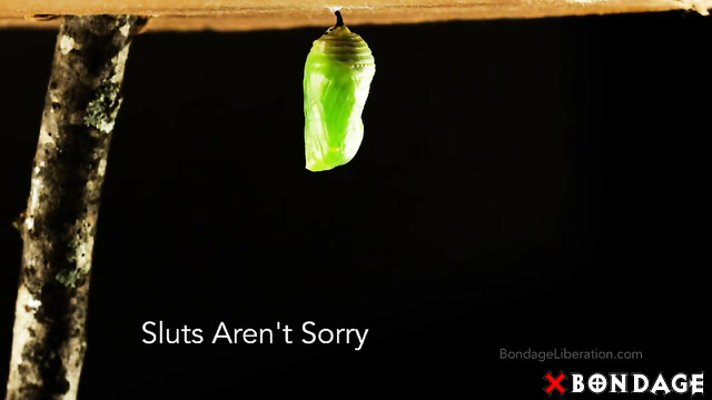 BondageLiberation - Sluts Arent Sorry