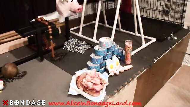 Alice In Bondage Land - Bacon Day Part 2 Duck Tape Piggy Threesome
