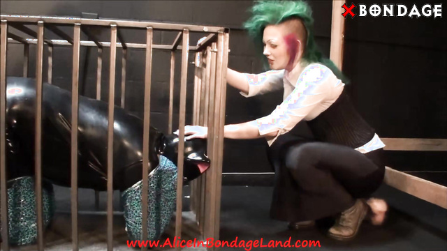 Mistress Alice Latex