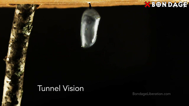 BondageLiberation - Tunnel Vision