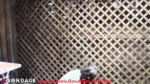 Alice In Bondage Land - Mistress Minax Benzo Part 1 Anal Humiliation