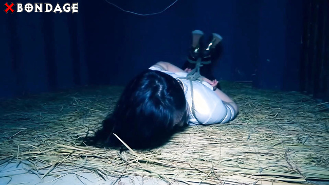 Chinese Bondage - Secretary in a rope