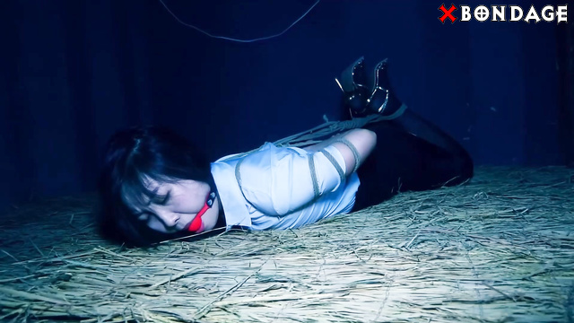Chinese Bondage - Secretary in a rope