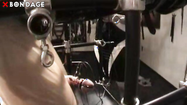 Alice In Bondage Land - Suspended Slave Cage Genital Electric Torture