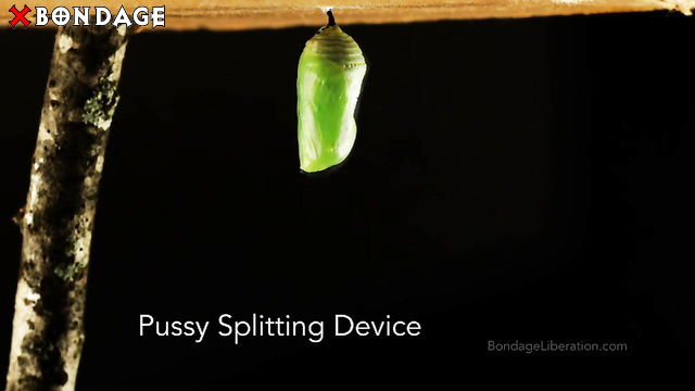 Bondage Liberation - A Hard Torture on a Pussy Splitting Device