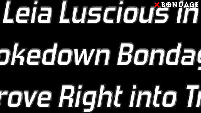 Superbound - Leia Luscious In Brokedown Bondage: She Drove Right Into Trouble