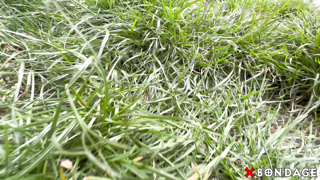 Milaamorabondage - Giantess Charley Atwell Under Attack by a Team Of Tinies