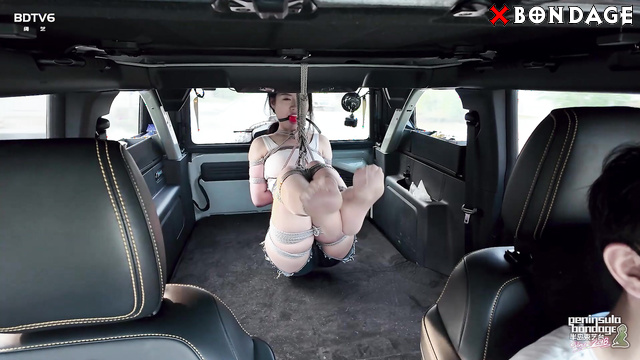 Peninsula Bondage - YT2825 - Human Stability Program Right In Backseat Car
