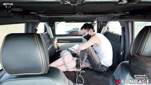 Peninsula Bondage - YT2825 - Human Stability Program Right In Backseat Car