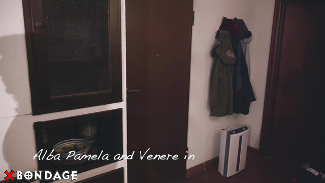 Layla Bondage Addiction - Pamela With Venere Doctor Alba Captured And Rescued