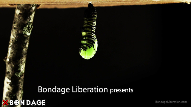 Elise Graves Bondage Liberation - Wrapped And Caged Big Cock: Mummified Male With Mistress Elise