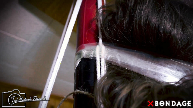 Ted Michaels Damsels - Suspended And Hogtied: The Humiliated Portia Everly’s Climax