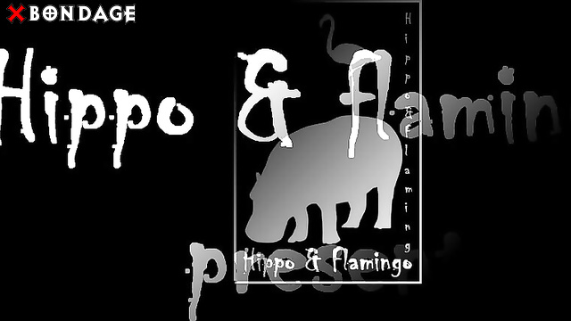 Hippo & Flamingo - Corporal Punishment And Domestic Discipline For This Naked Blonde Hoe