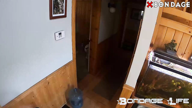 Bondage Life - Ass Up And Listening To Master Commands: Tiny Cage For Rachel Greyhound