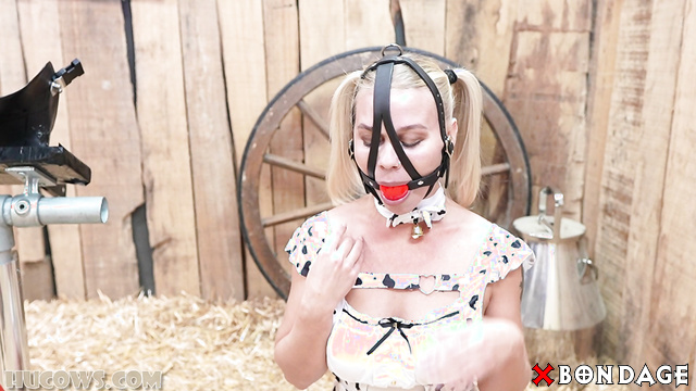 Hucows - Darina Milking Stand Experience: Puffy Boobies Pumped Hard