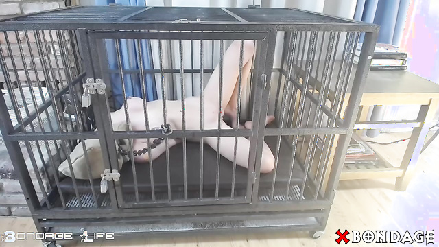 Bondage Life - Cage Time With Rachel Greyhound: Filthy Submissive Locked Up Tight