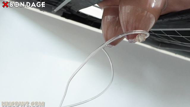 Hucows - Blonde Was Handcuffed And Hooked Up To A Breast Pump