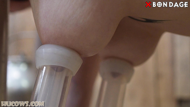 Hucows - Intense Mechanical Breast Milking And Nipple Torture For Elizabeth