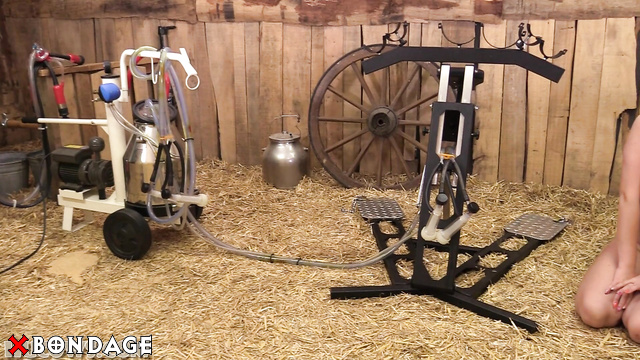 Hucows - Pure Forbidden Desire: Denise And Her Natural Tits On Metal Milking Pillory